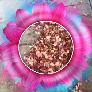 Meet your Posher, Ani